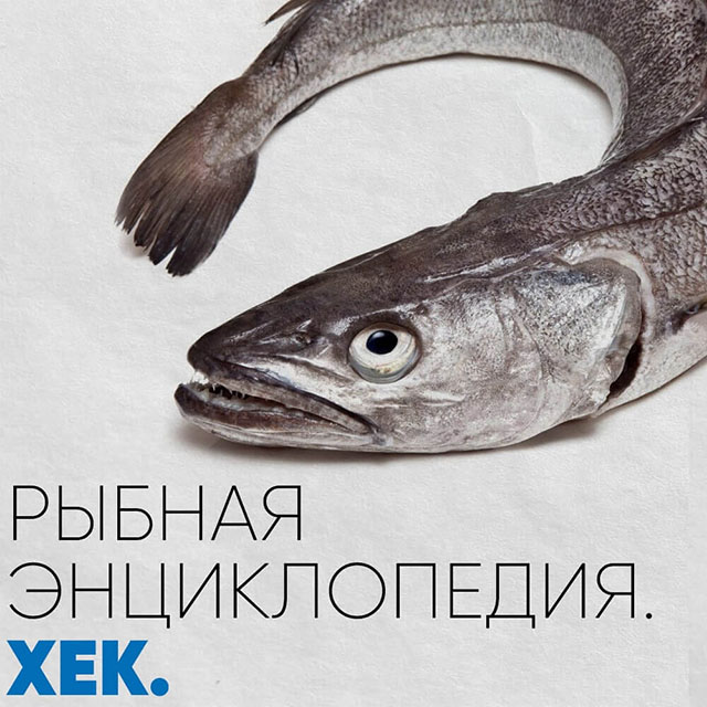 Рыбная энциклопедия. Хек
