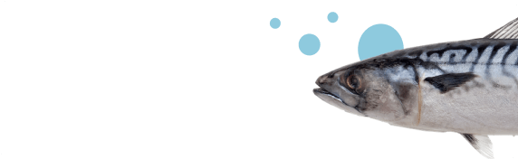 пелагическая рыба